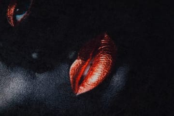 Carpet (160 x 230) Homefesto - Flerfarget - Tekstiler & tepper - Teppe & matte - Orientalske tepper - Persisk matte