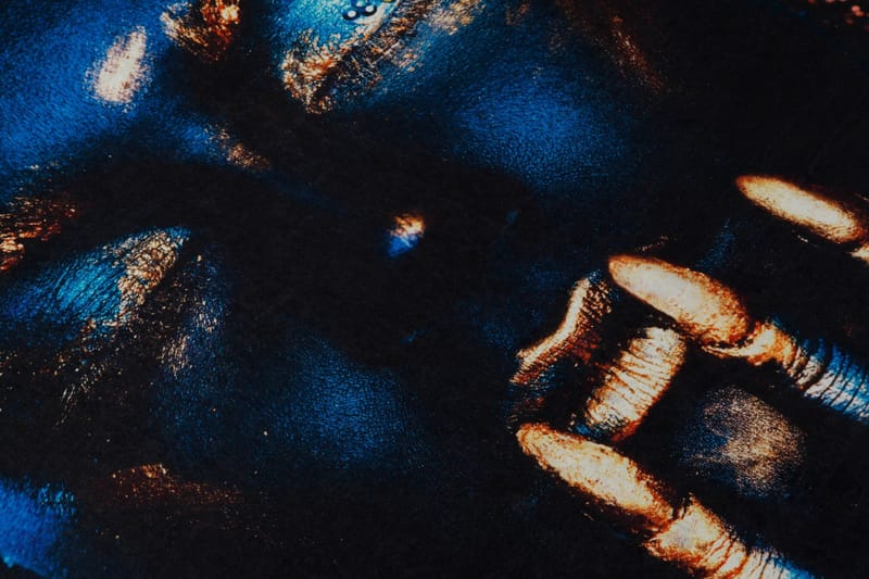 Carpet (160 x 230) Homefesto - Flerfarget - Tekstiler & tepper - Teppe & matte - Orientalske tepper - Persisk matte