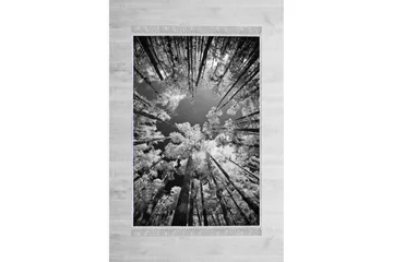 Matte (100 x 200) Homefesto - Bomull - Flerfarget/Fløyel - Tekstiler & tepper - Teppe & matte - Orientalske tepper - Persisk matte