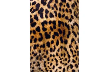 Matte (100 x 300) Homefesto - Bomull - Flerfarget/Fløyel - Tekstiler & tepper - Teppe & matte - Orientalske tepper - Persisk matte