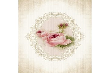 Matte (100x150) Homefesto 5 - Flerfarget - Tekstiler & tepper - Teppe & matte - Orientalske tepper - Persisk matte