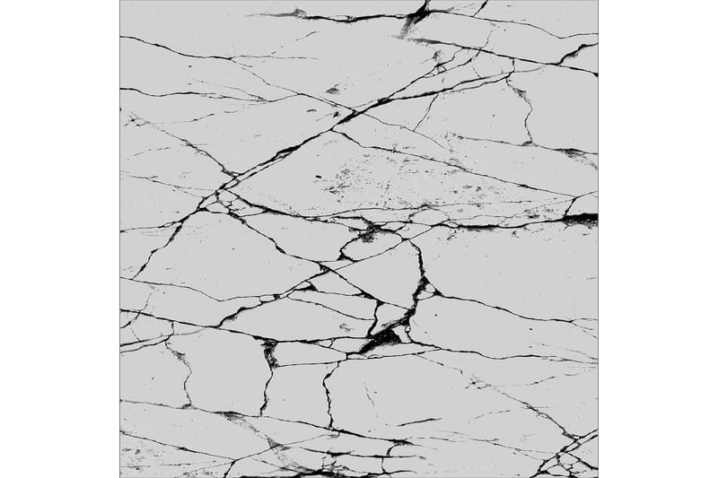 Matte (100x150) Homefesto 5 - Flerfarget - Tekstiler & tepper - Teppe & matte - Orientalske tepper - Persisk matte