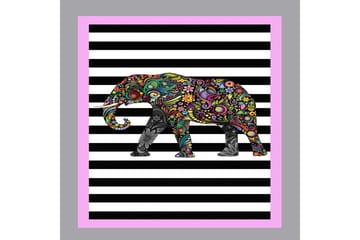 Matte (100x200) Homefesto 5 - Flerfarget - Tekstiler & tepper - Teppe & matte - Orientalske tepper - Persisk matte