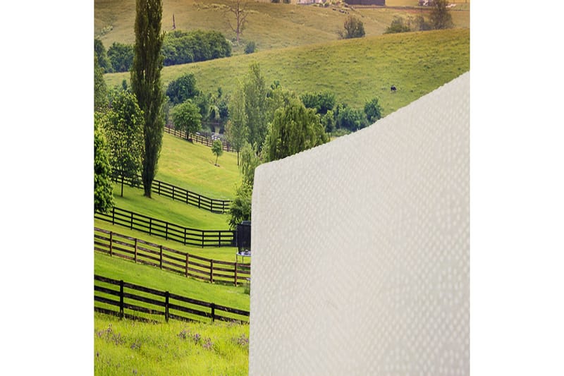 Matte (100x200) Homefesto 5 - Flerfarget - Tekstiler & tepper - Teppe & matte - Orientalske tepper - Persisk matte