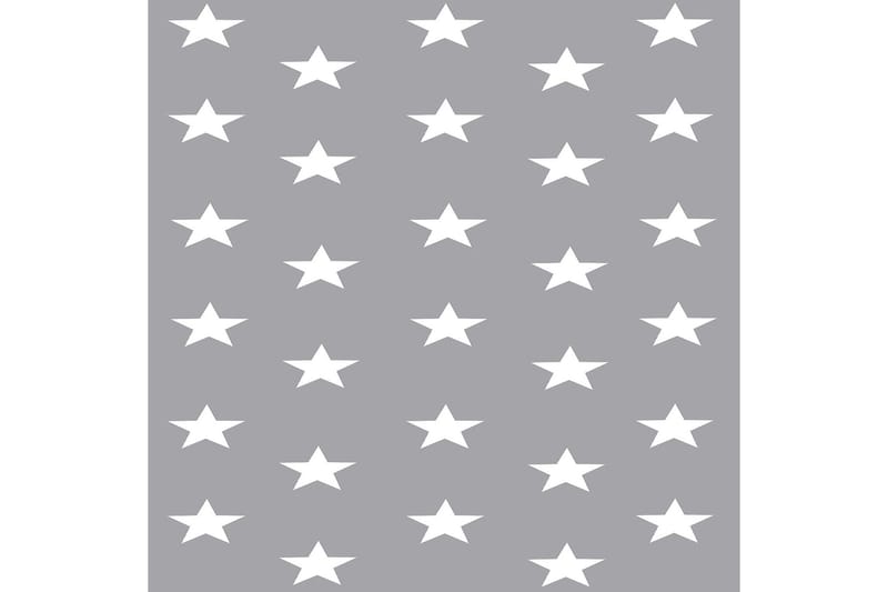 Matte (100x200) Homefesto 5 - Flerfarget - Tekstiler & tepper - Teppe & matte - Orientalske tepper - Persisk matte