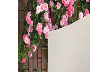 Matte (140x220) Homefesto 5 - Flerfarget - Tekstiler & tepper - Teppe & matte - Orientalske tepper - Persisk matte