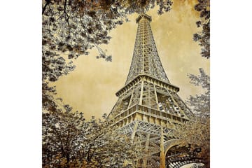 Matte (160x230) Homefesto 4 - Flerfarget - Tekstiler & tepper - Teppe & matte - Orientalske tepper - Persisk matte