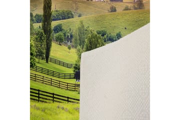 Matte (160x230) Homefesto 5 - Flerfarget - Tekstiler & tepper - Teppe & matte - Orientalske tepper - Persisk matte