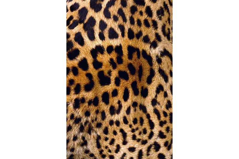 Matte (180 x 280) Homefesto - Bomull - Flerfarget/Fløyel - Tekstiler & tepper - Teppe & matte - Orientalske tepper - Persisk matte