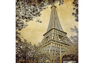 Matte (180x280) Homefesto 4 - Flerfarget - Tekstiler & tepper - Teppe & matte - Orientalske tepper - Persisk matte