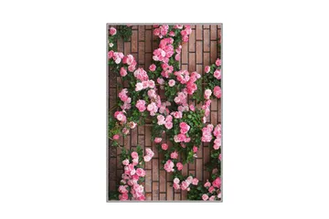 Matte (180x280) Homefesto 5 - Flerfarget - Tekstiler & tepper - Teppe & matte - Orientalske tepper - Persisk matte