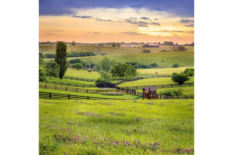 Matte (180x280) Homefesto 5 - Flerfarget - Tekstiler & tepper - Teppe & matte - Orientalske tepper - Persisk matte