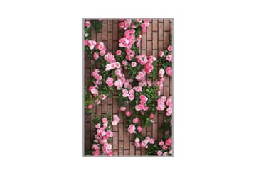 Matte (80 x 120) Homefesto 5 - Flerfarget - Tekstiler & tepper - Teppe & matte - Orientalske tepper - Persisk matte