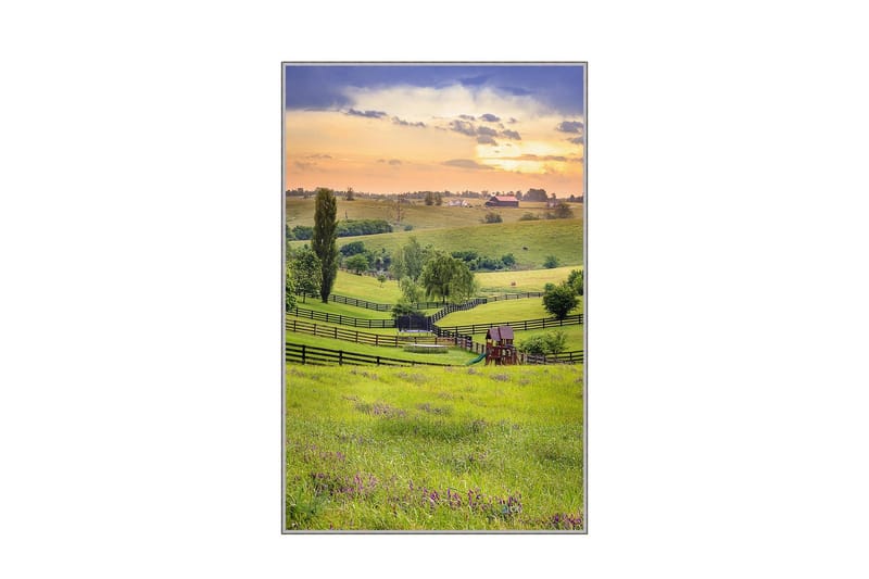 Matte (80 x 120) Homefesto 5, Flerfarget