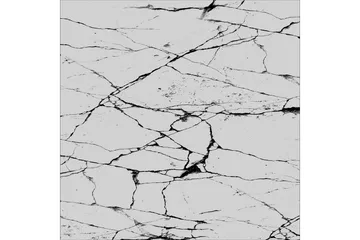 Matte (80 x 120) Homefesto 5 - Flerfarget - Tekstiler & tepper - Teppe & matte - Orientalske tepper - Persisk matte