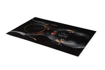 Matte (80 x 120) Homefesto - Flerfarget - Tekstiler & tepper - Teppe & matte - Orientalske tepper - Persisk matte