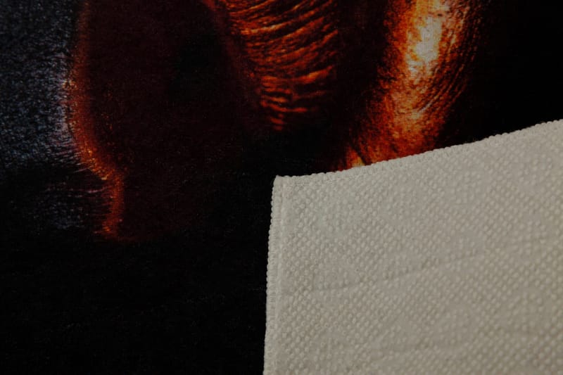 Matte (80 x 120) Homefesto - Flerfarget - Tekstiler & tepper - Teppe & matte - Orientalske tepper - Persisk matte