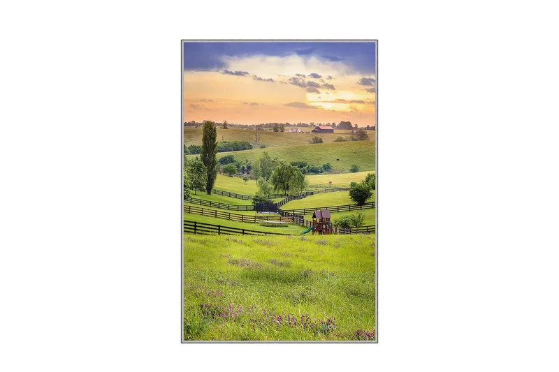 Matte (80 x 150) Homefesto 5, Flerfarget