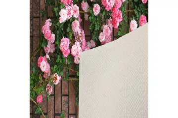 Matte (80 x 150) Homefesto 5 - Flerfarget - Tekstiler & tepper - Teppe & matte - Orientalske tepper - Persisk matte