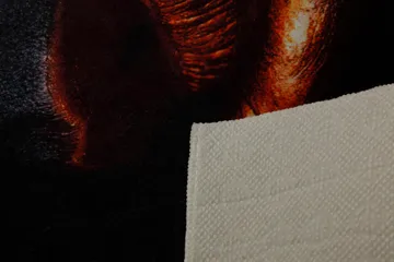 Matte (80 x 150) Homefesto - Flerfarget - Tekstiler & tepper - Teppe & matte - Orientalske tepper - Persisk matte