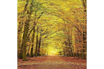 Matte (80 x 200) Homefesto 5 - Flerfarget - Tekstiler & tepper - Teppe & matte - Orientalske tepper - Persisk matte