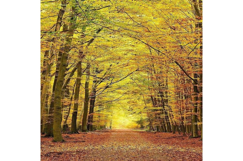 Matte (80 x 200) Homefesto 5 - Flerfarget - Tekstiler & tepper - Teppe & matte - Orientalske tepper - Persisk matte