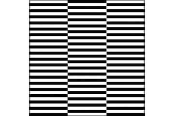 Matte (80 x 300) Homefesto 5 - Flerfarget - Tekstiler & tepper - Teppe & matte - Orientalske tepper - Persisk matte