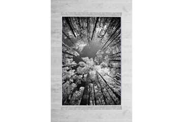 Matte (80x300) Homefesto - Cotton - Flerfarget/Fløyel - Tekstiler & tepper - Teppe & matte - Orientalske tepper - Persisk matte