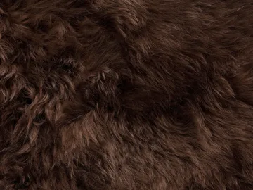 Fårskinn Hillerstorp Vilma - Brun - Tekstiler & tepper - Teppe & matte - Skinn & pelstepper - Saueskinn