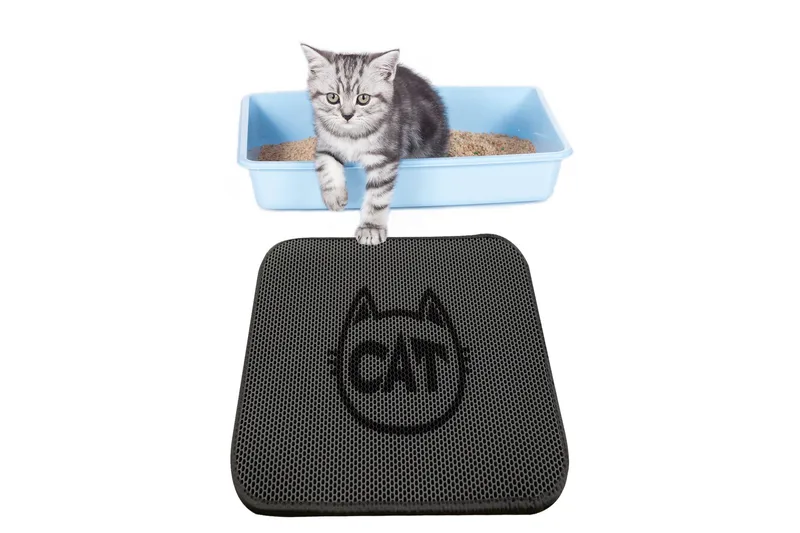 Chilai KattsandsMatte 45x60 cm, Multifarget