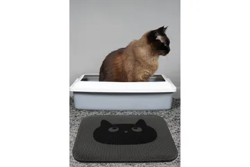 Chilai KattsandsMatte 45x60 cm - Multifarget - Tekstiler & tepper - Teppe & matte - Moderne matte - Wiltontepper