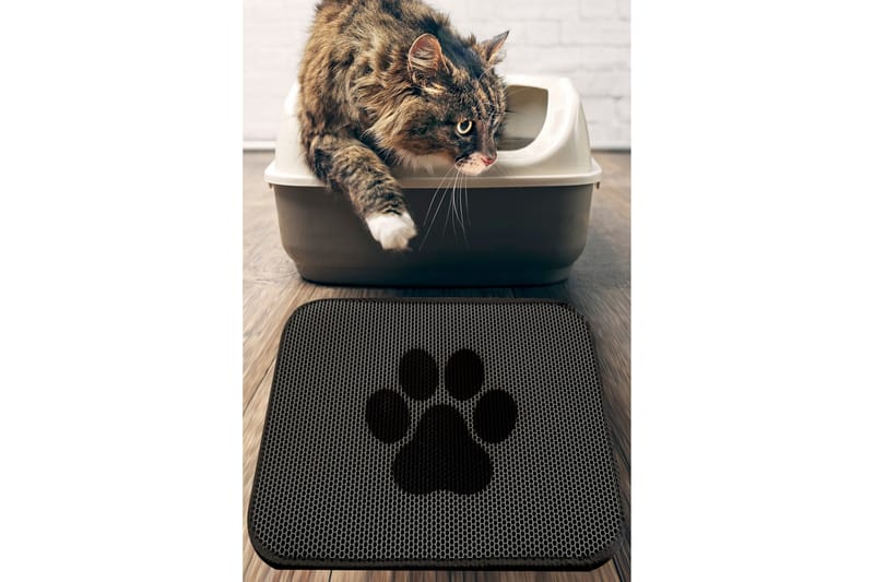 Chilai KattsandsMatte 45x60 cm, Multifarget