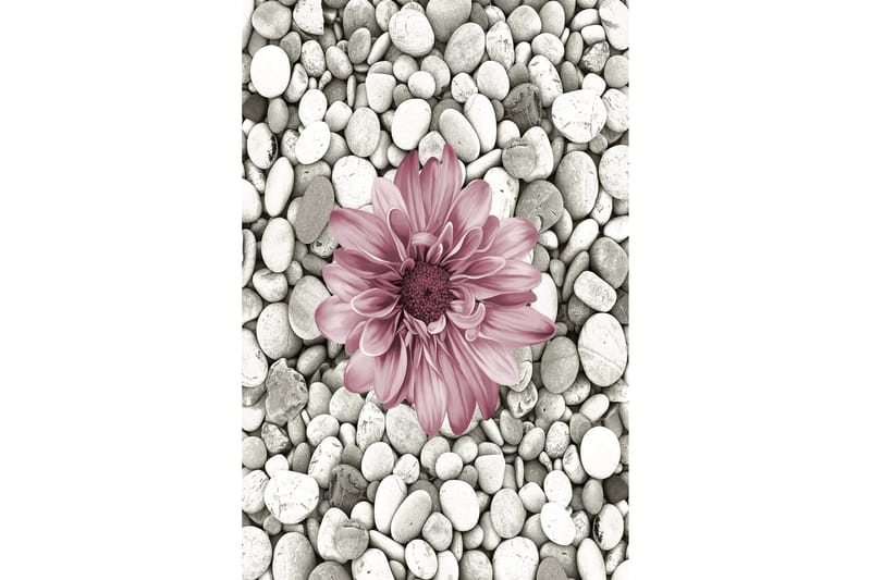 Homefesto Matte 60x100 cm - Multifarget - Tekstiler & tepper - Teppe & matte - Moderne matte - Wiltontepper