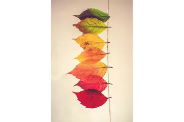 Homefesto Matte 60x100 cm - Multifarget - Tekstiler & tepper - Teppe & matte - Små tepper