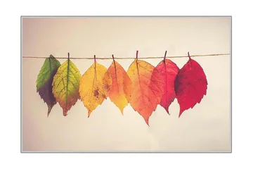 Homefesto Matte 60x100 cm - Multifarget - Tekstiler & tepper - Teppe & matte - Moderne matte - Wiltontepper