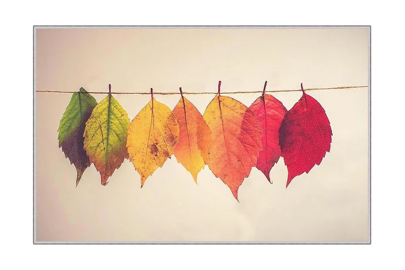 Homefesto Matte 60x100 cm, Multifarget