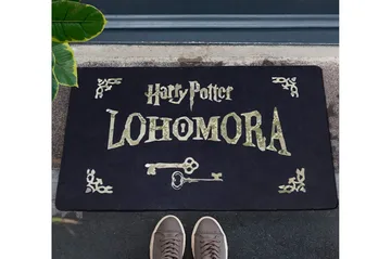 Chilai Dørmatte 45x70 cm - PVC/Multifarget - Tekstiler & tepper - Teppe & matte - Utendørs tepper - Dørmatte og entrématte