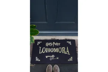 Chilai Dørmatte 45x70 cm - PVC/Multifarget - Tekstiler & tepper - Teppe & matte - Utendørs tepper - Dørmatte og entrématte