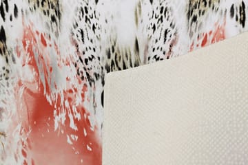 Hall Matte EXFAB313 - Flerfarget - Tekstiler & tepper - Teppe & matte - Utendørs tepper - Dørmatte og entrématte