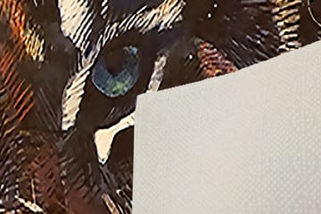 Hall Matte HMNT180 - Flerfarget - Tekstiler & tepper - Teppe & matte - Utendørs tepper - Dørmatte og entrématte