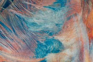 Hall Matte Van - Flerfarget - Tekstiler & tepper - Teppe & matte - Utendørs tepper - Dørmatte og entrématte